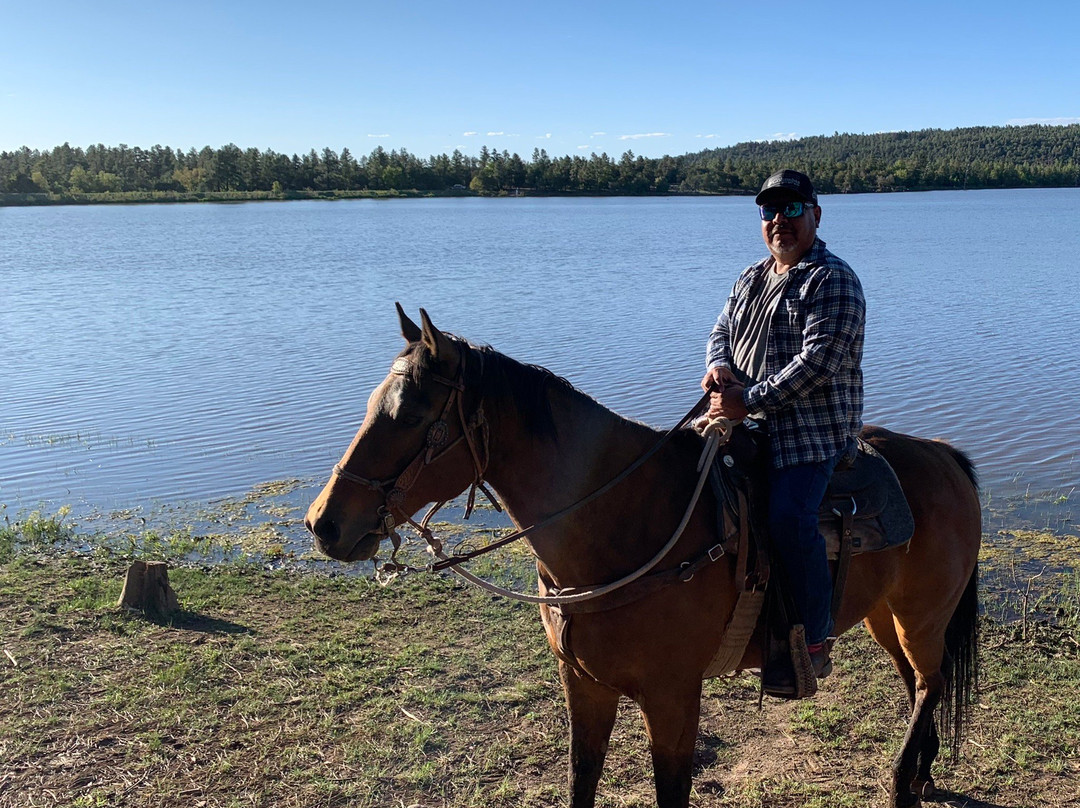 Porter Mountain Stables-Pinetop-Lakeside必去景点