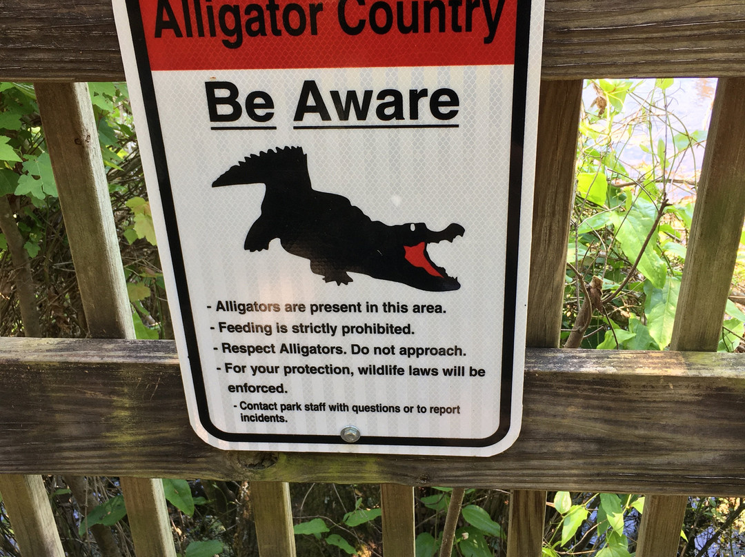 Magnolia Springs Park-Millen必去景点