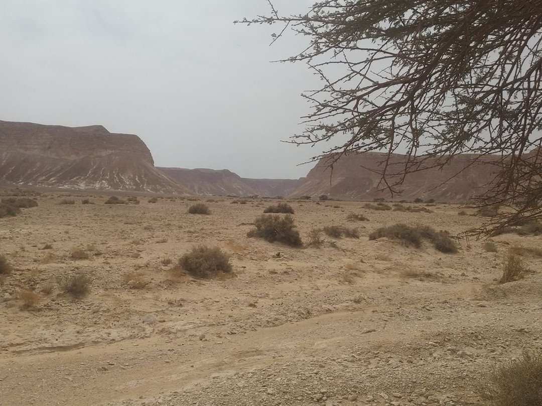 Israel National Trail-Kibbutz Dan必去景点