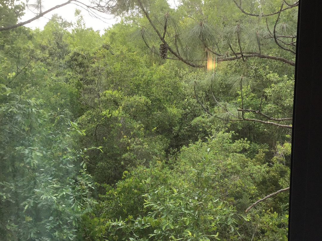 Fairfield Inn & Suites by Marriott Crestview主图