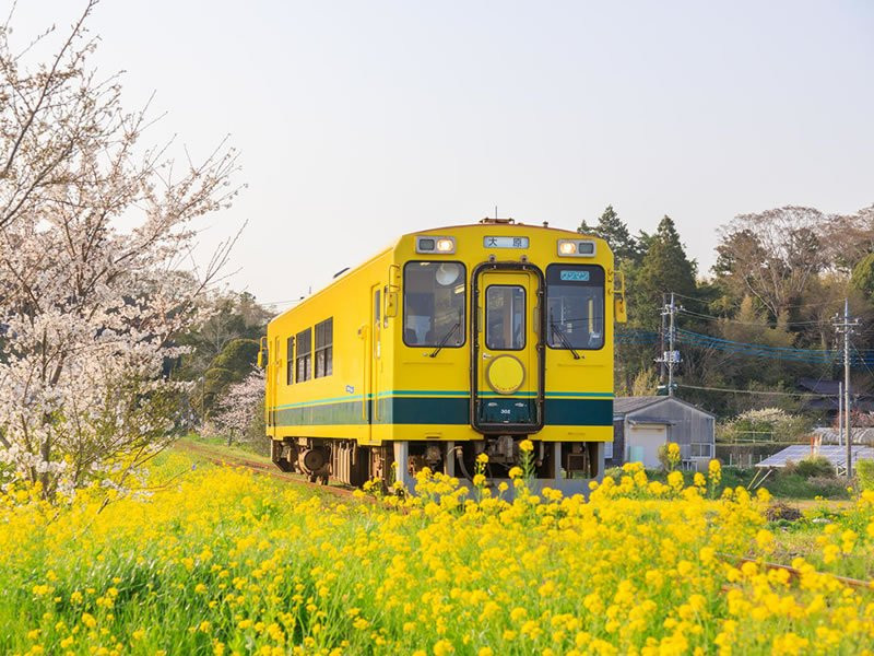 Hotel GreenHill OTAKI主图