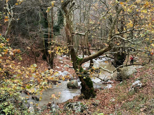 Green Oliver-塞萨洛尼基必去景点