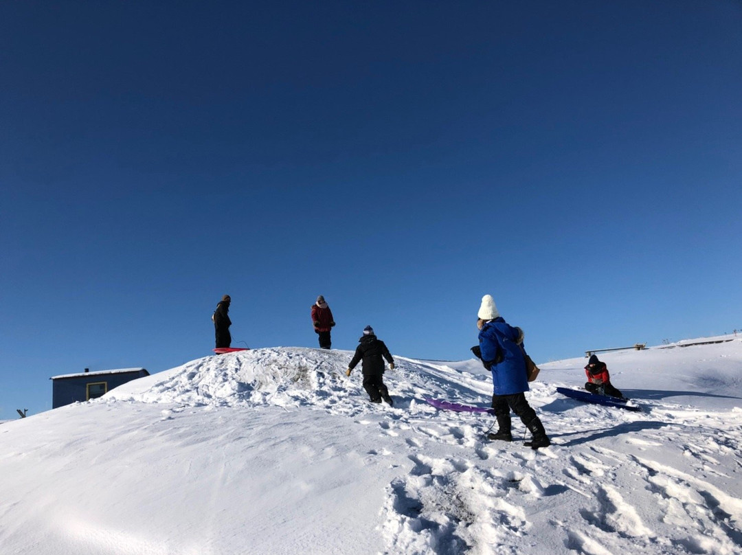 Great Slave Lake Tours-Hay River必去景点
