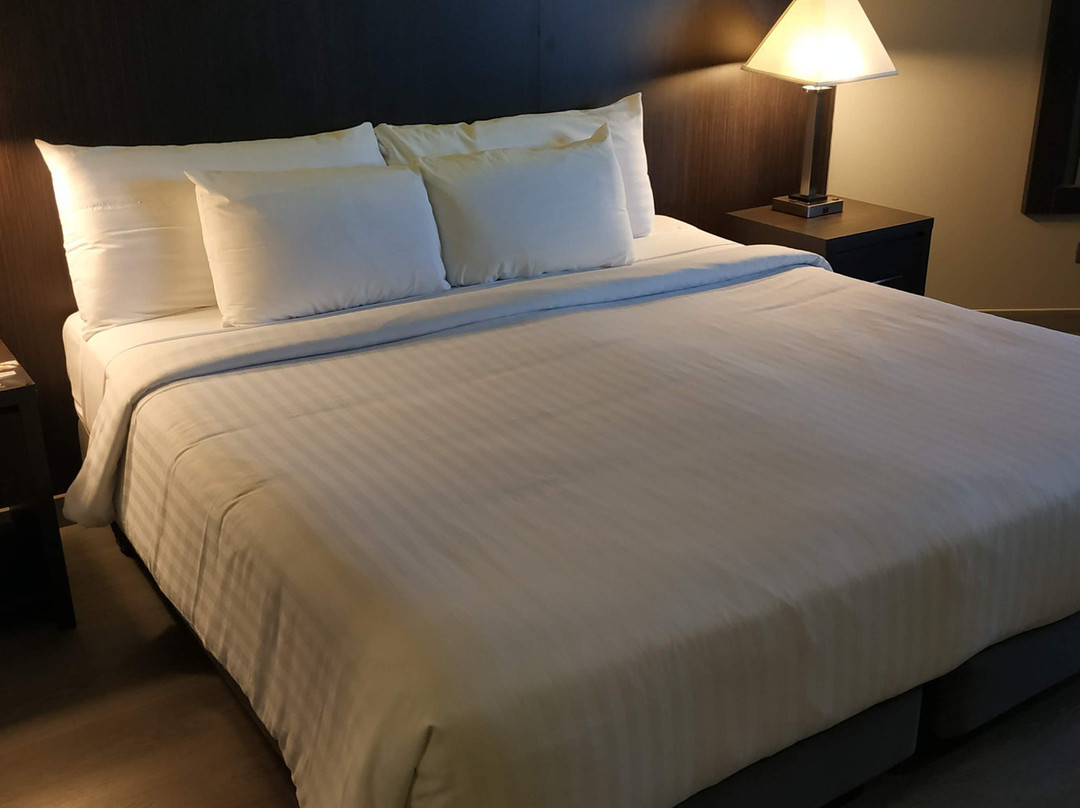 W&P Santo Domingo主图