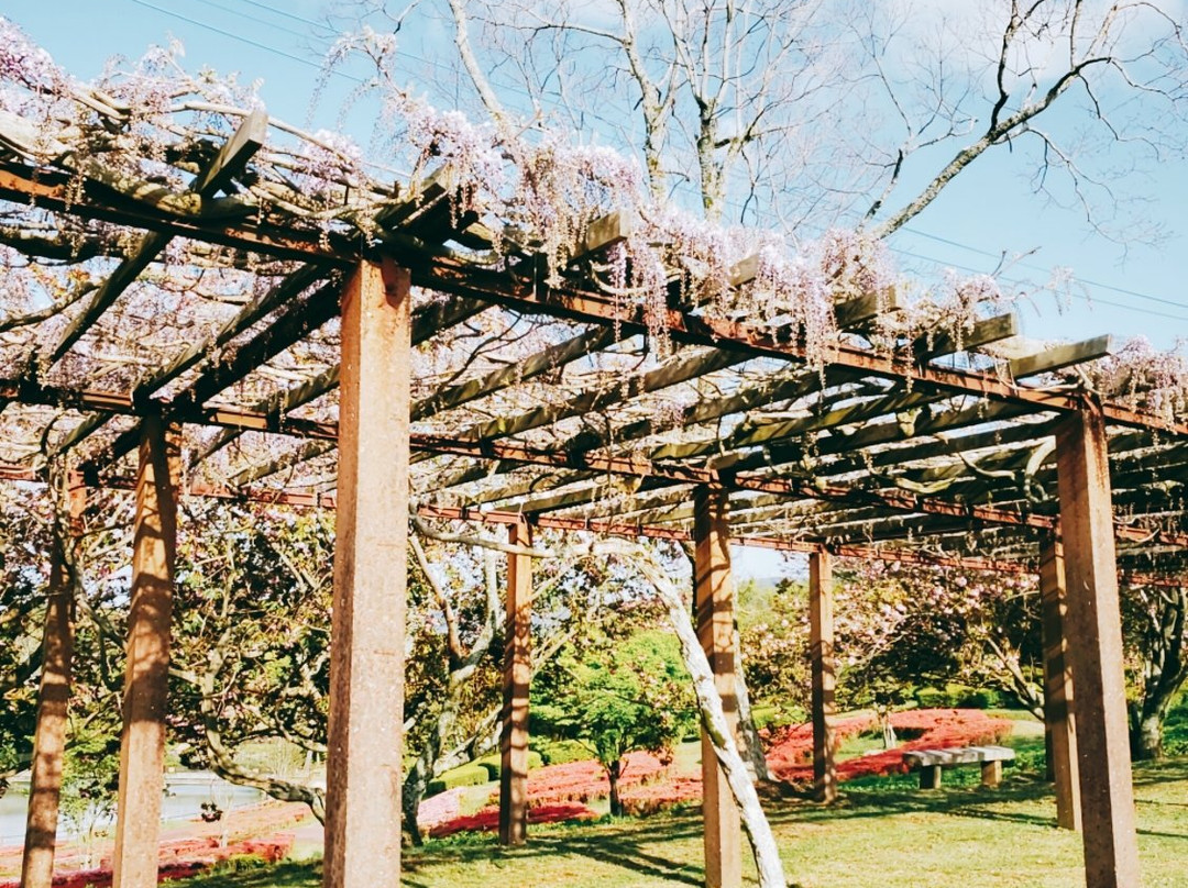 Kagamiyama Observatory景点图片