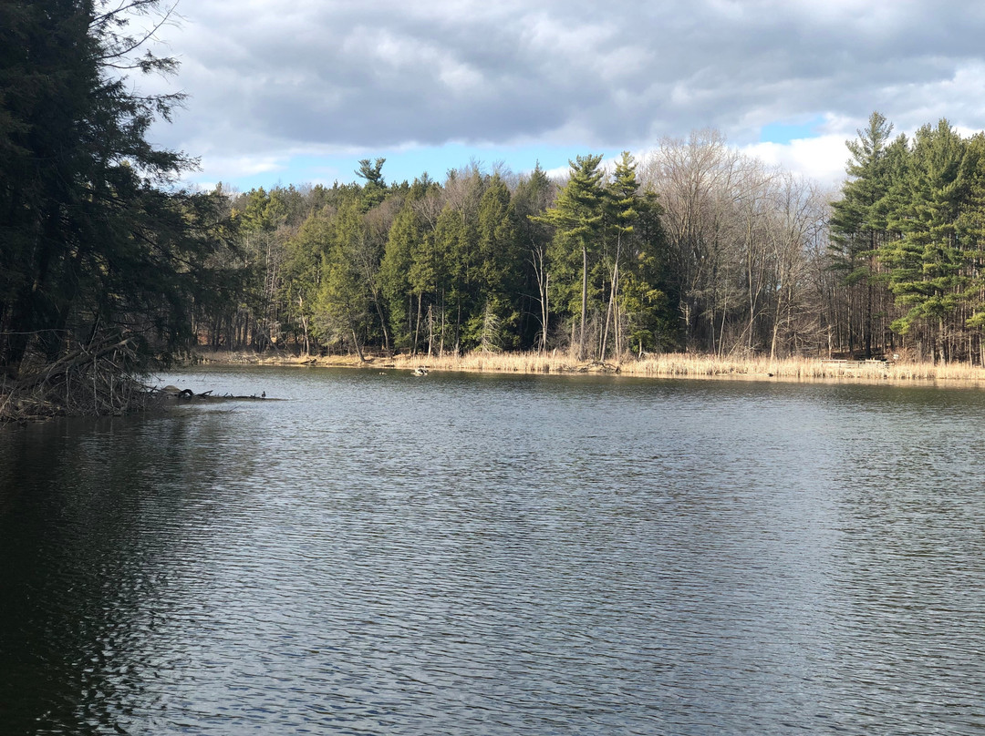 Huron Natural Area-基奇纳必去景点