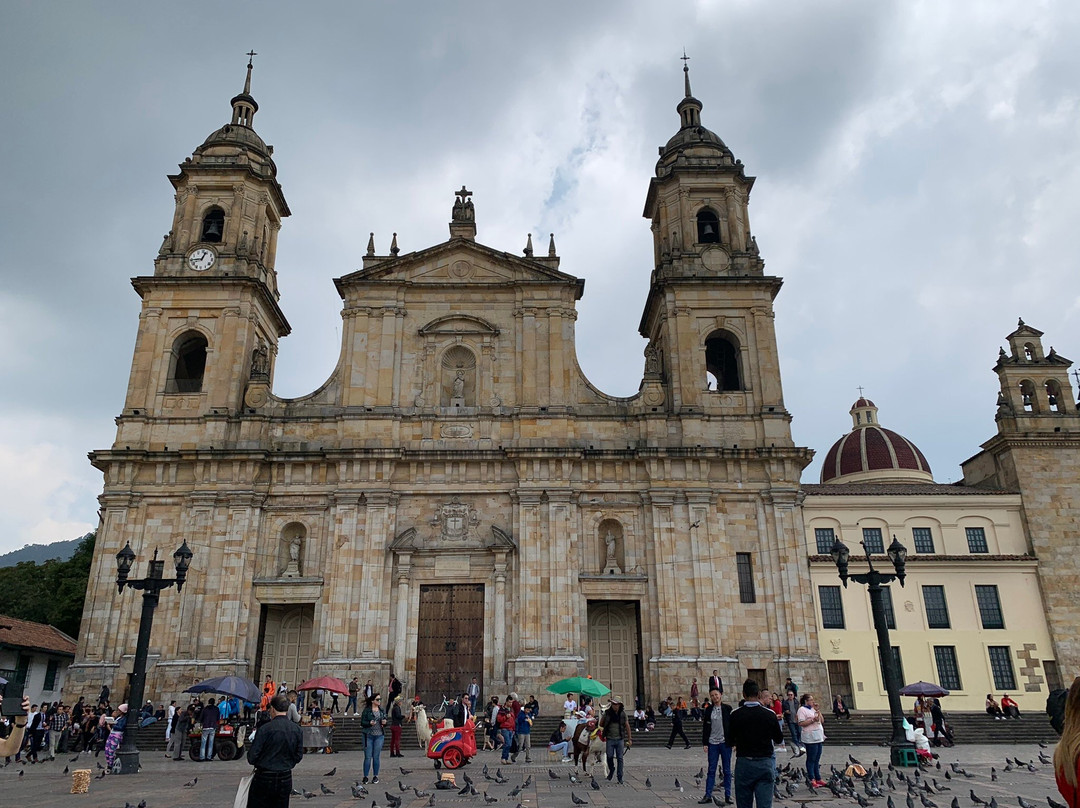 Catedral Primada de Bogota景点图片