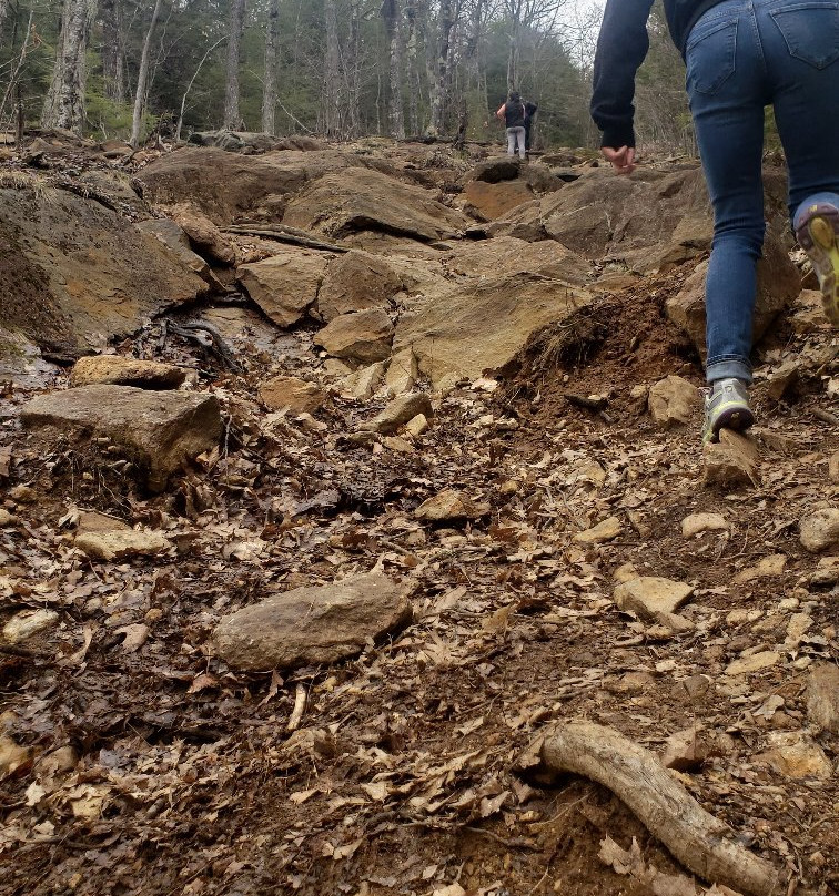 Mount Watatic-Ashburnham必去景点