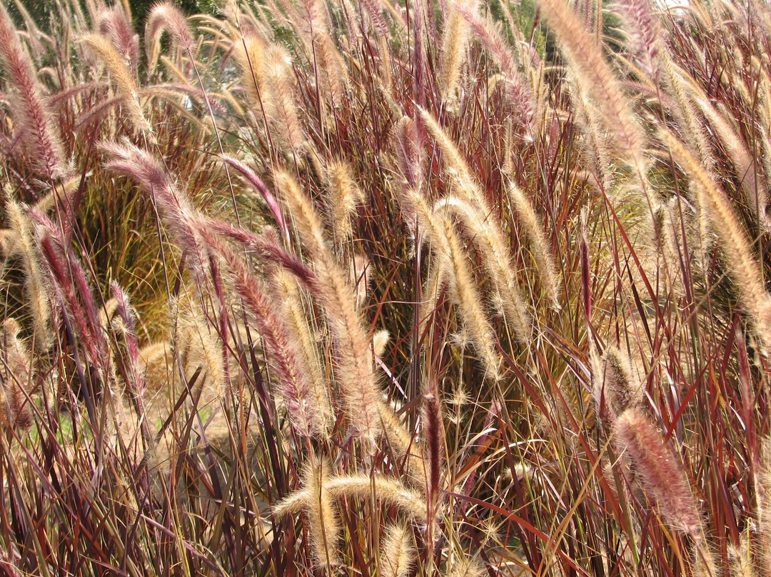 Eshkol Park-贝尔谢巴必去景点