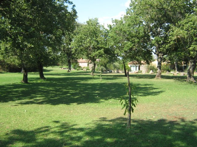 Country Hotel Mandra Edera主图
