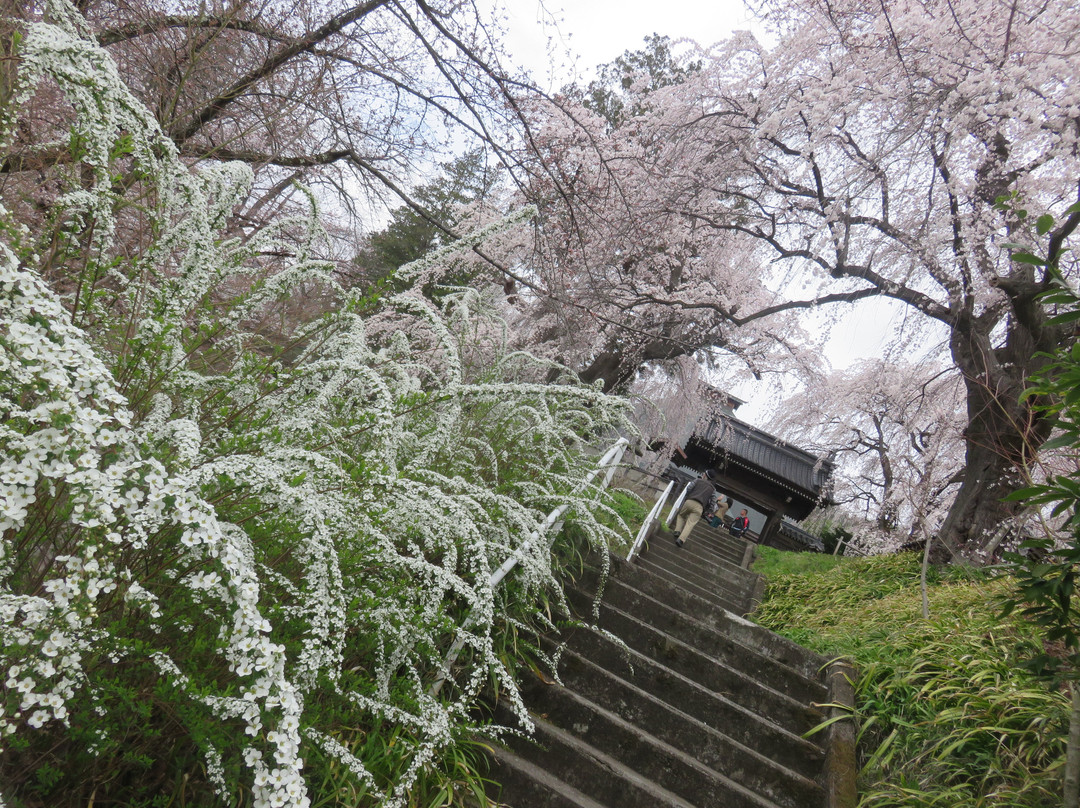 Korin-ji Temple-长野县必去景点