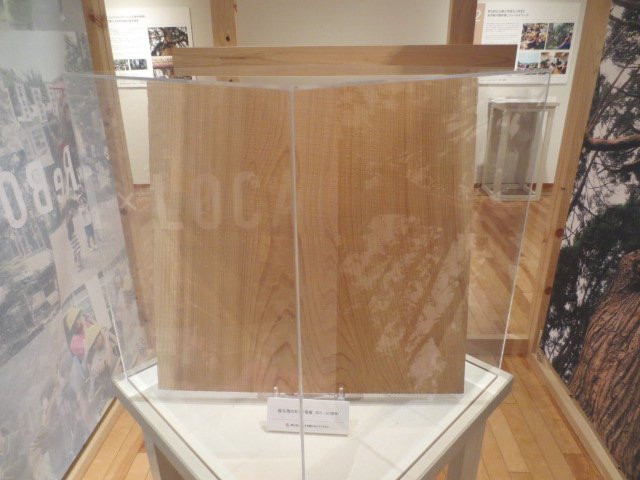 Tsunagi Museum-津奈木町必去景点