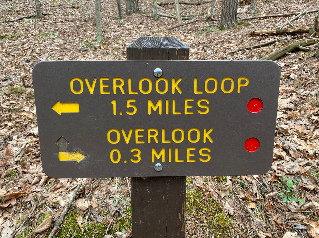 Beech Fork State Park-Barboursville必去景点