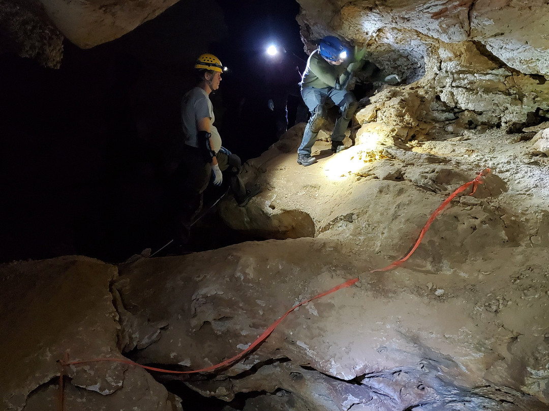 Hall of The White Giant-卡尔斯巴德洞穴国家公园必去景点