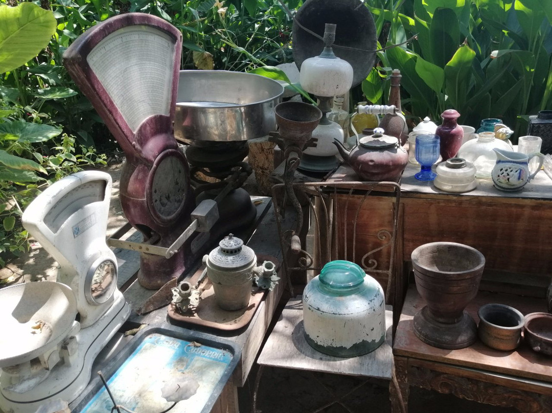 Santuario Del Picaflor-阿里卡必去景点