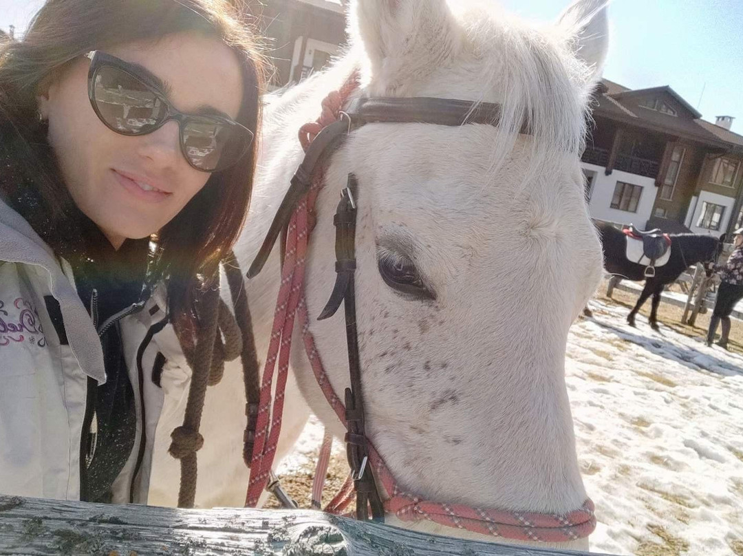 VisitBulgariaOn Bespoke Experiences-布尔加斯必去景点