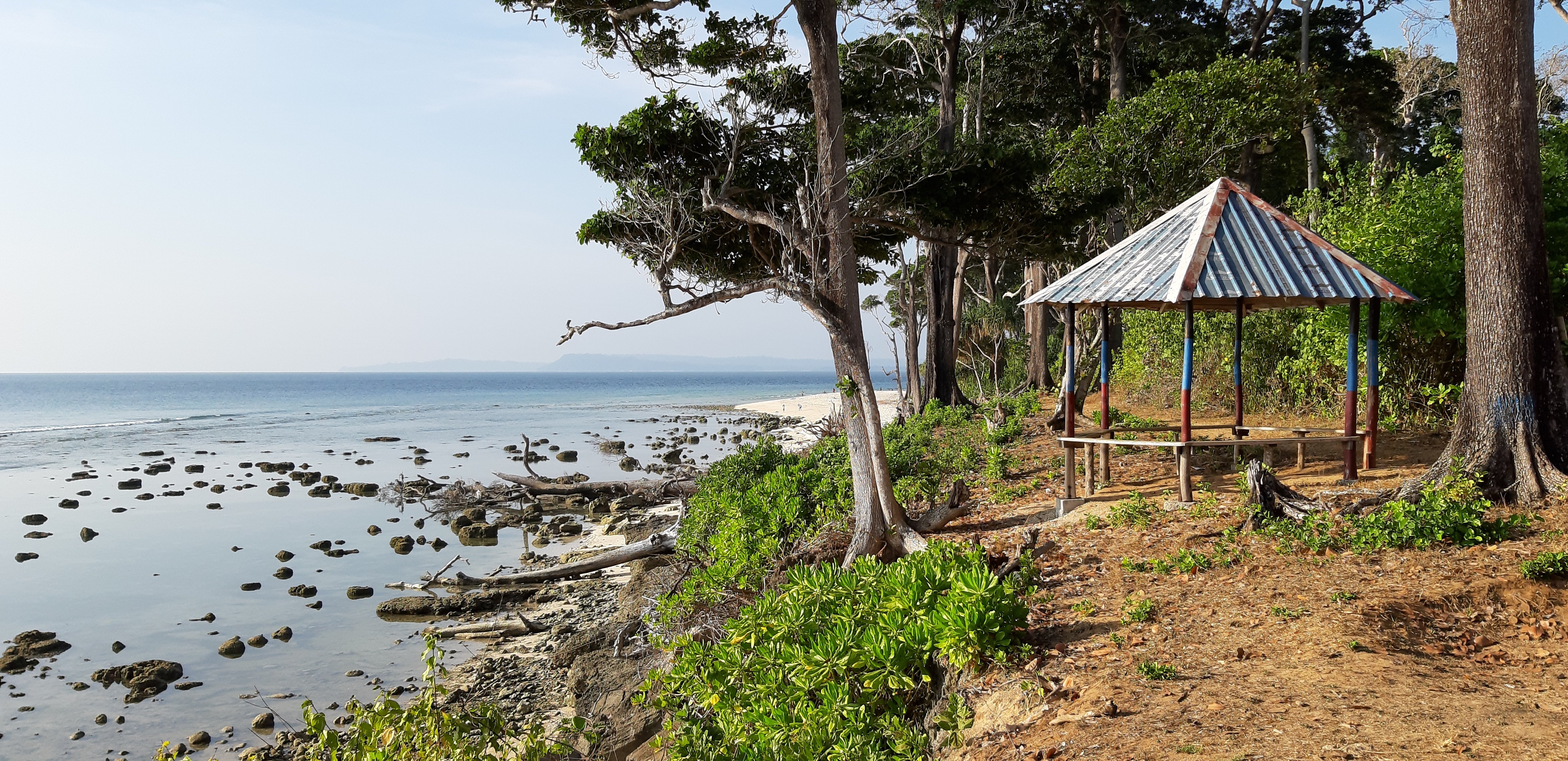 Pearl Park Beach Resort-泳池