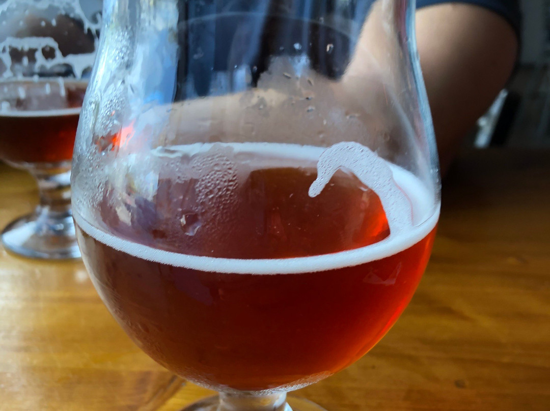 Stilt House Brewery-帕姆港必去景点