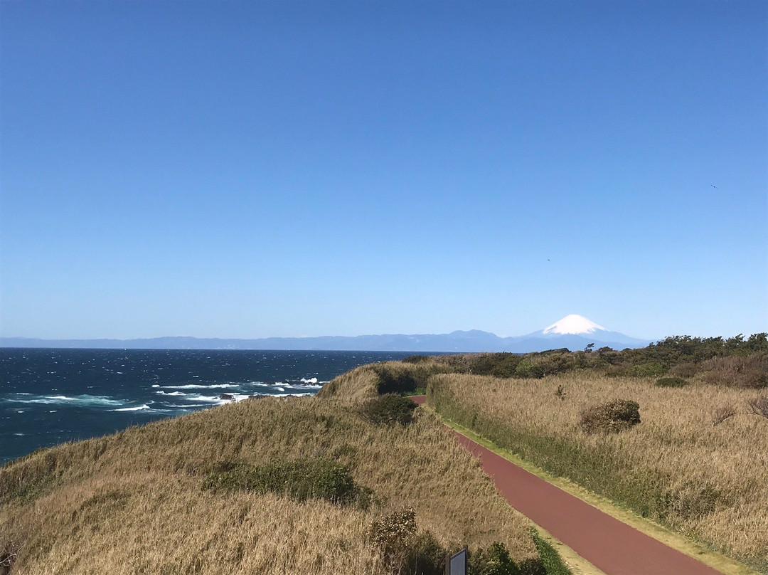 Jogashima Prefectural Park-Jogashima必去景点