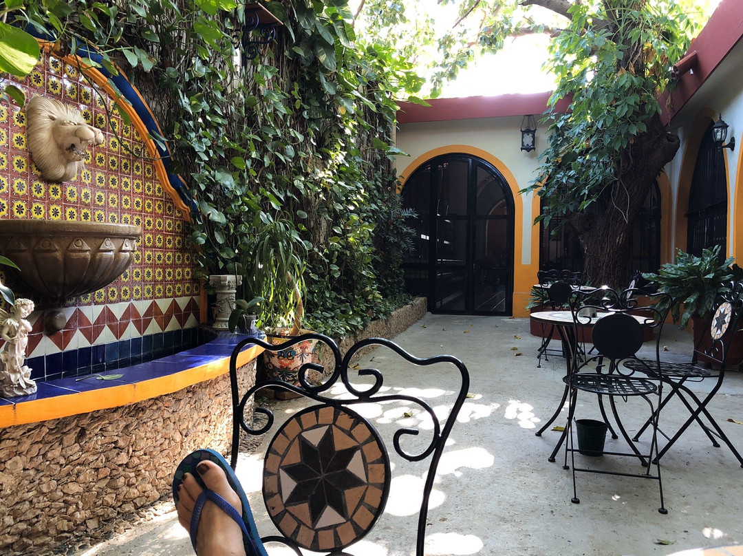 Casa Tres Colibries主图