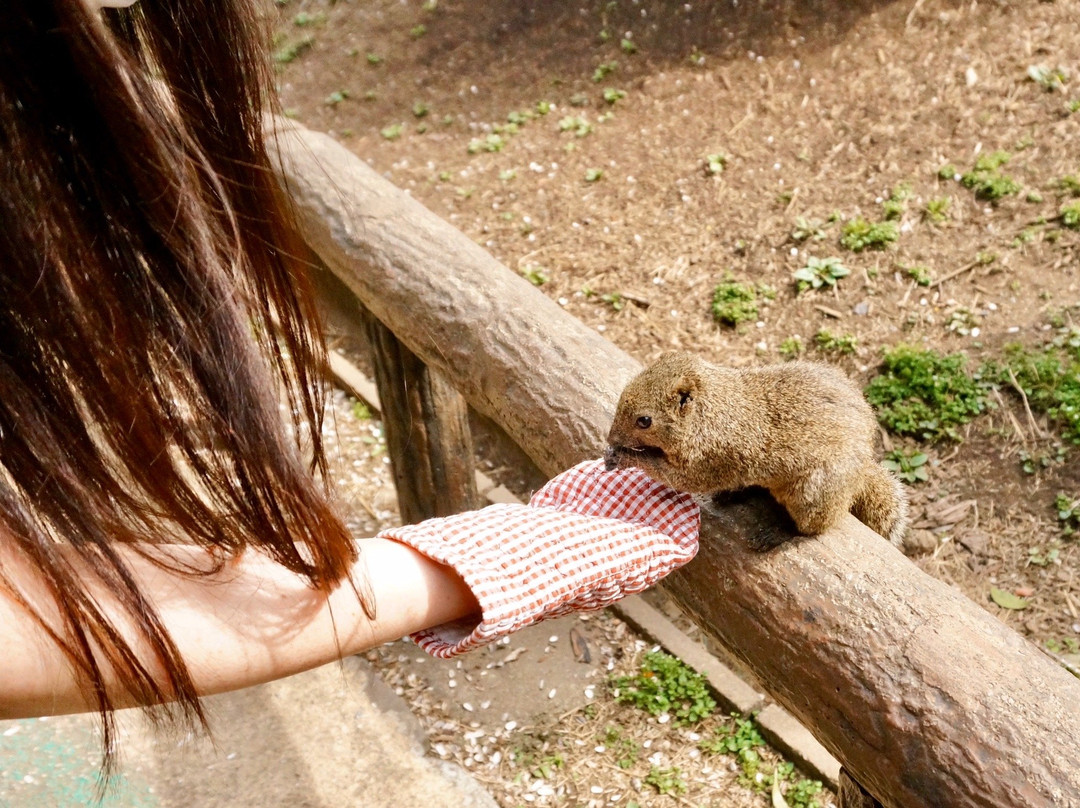Machida Squirrel Garden-町田市必去景点