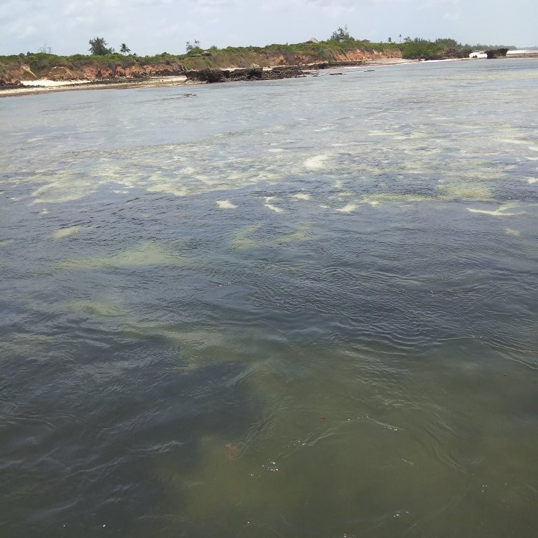 Mida Creek-瓦塔木必去景点