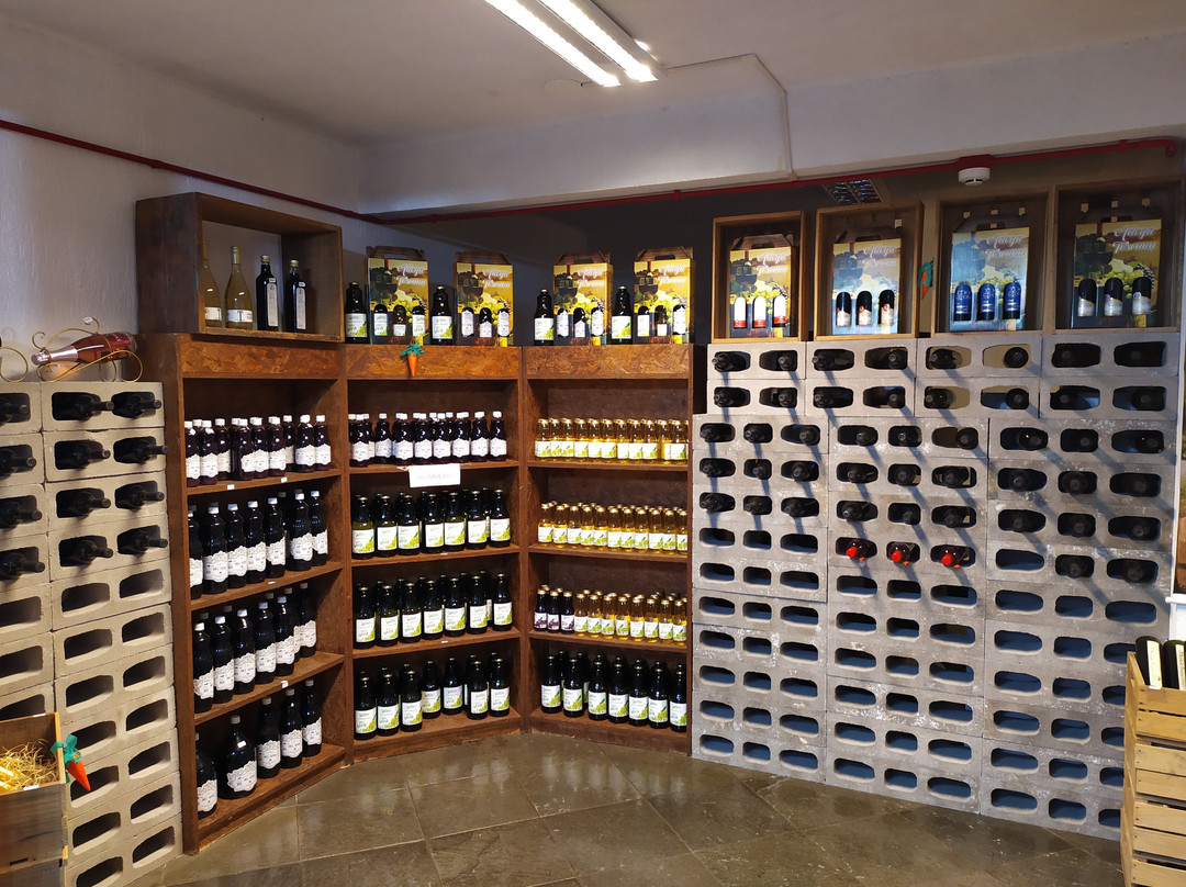 Eriel Chocolates-卡内拉必去景点