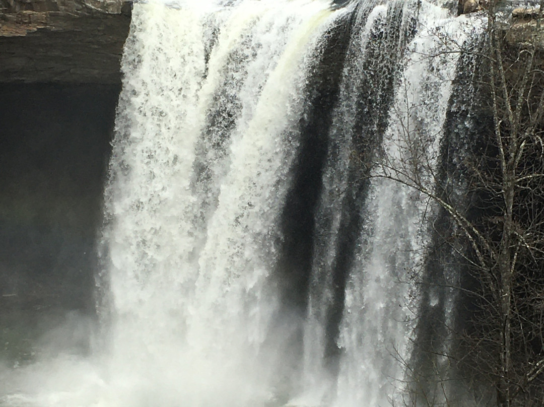 Noccalula Falls Park & Campground景点图片
