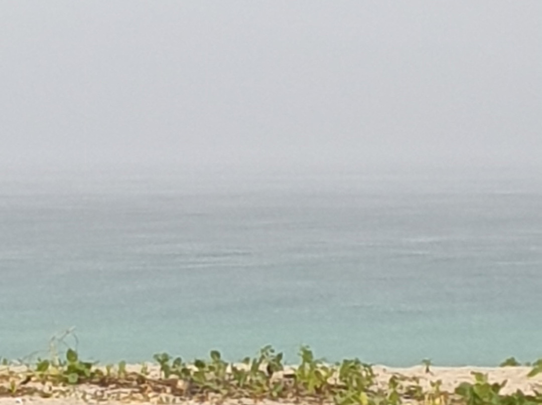 Jolly Buoy Island景点图片