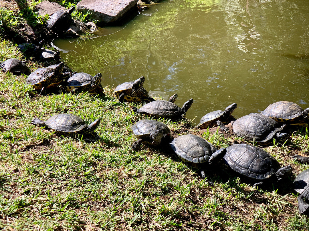 McGough Nature Park景点图片