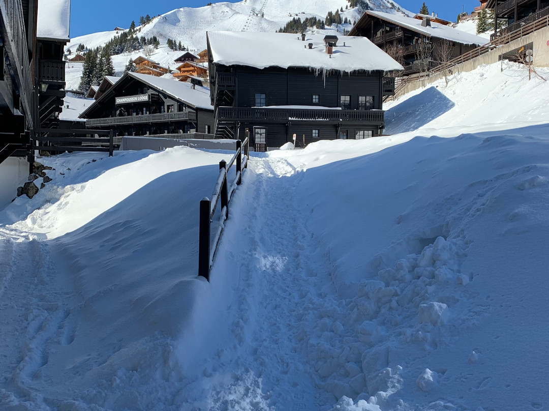 Royal Alpage Club主图