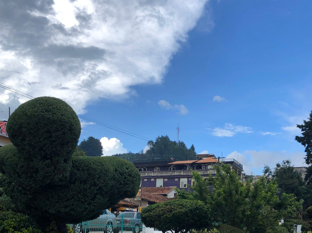 Plaza de la Paz景点图片