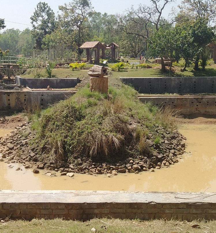 Amkhoi Fossil Wood Park-Shantiniketan必去景点