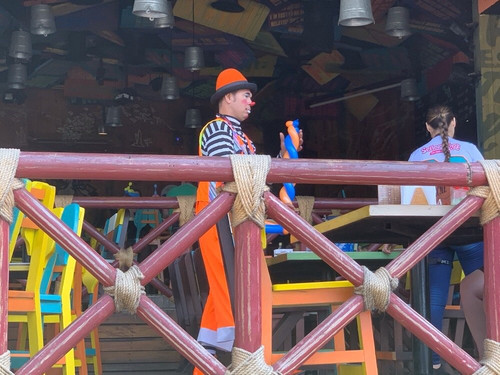 Senor Frog's-瓦拉塔港必去景点