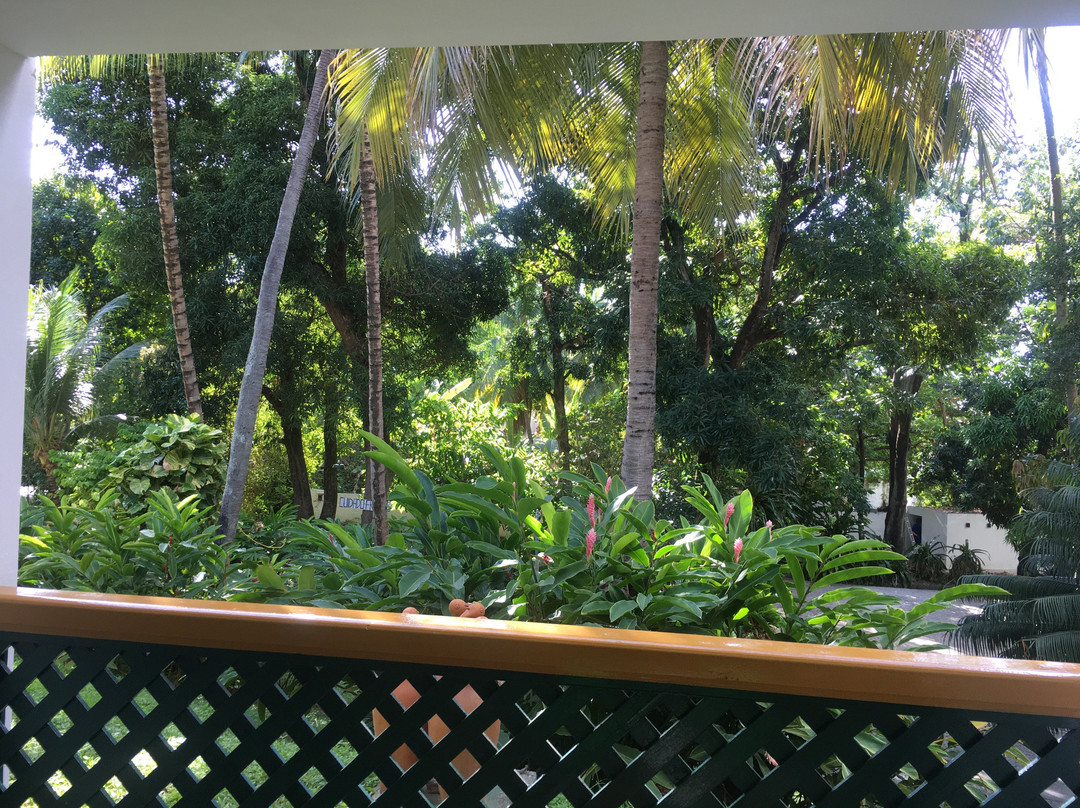 Hotel 7 Colinas主图