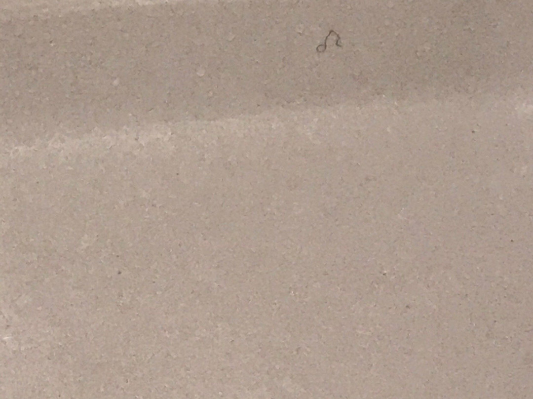 Holiday Inn Express & Suites Carrollton West By IHG主图