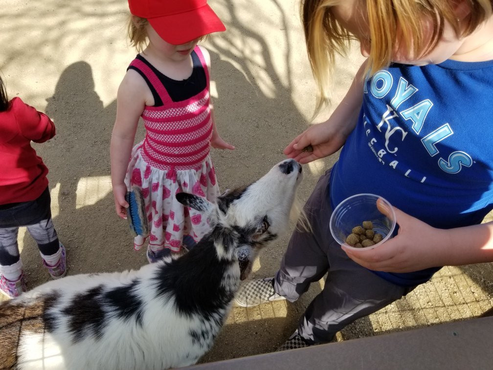 快乐山谷公园和动物园-圣何塞必去景点