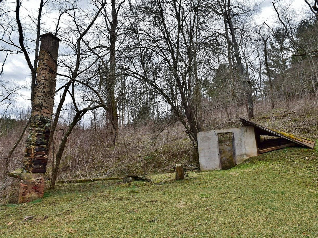 New River State Park景点图片