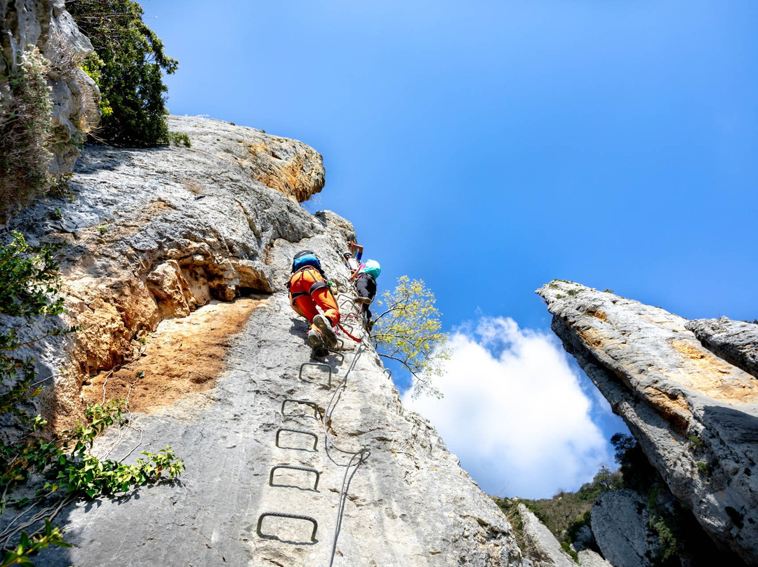 Nómadas del Pirineo景点图片