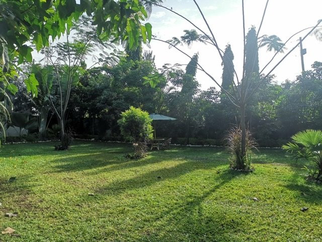 Victoria Comfort Inn主图