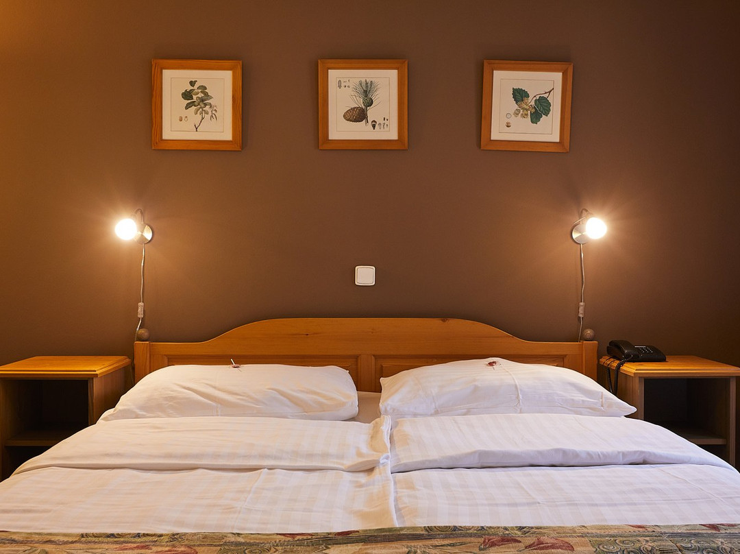 Hotel Panská主图
