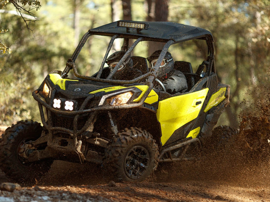 TRAX PowerSports Rentals of Morgan-Morgan必去景点