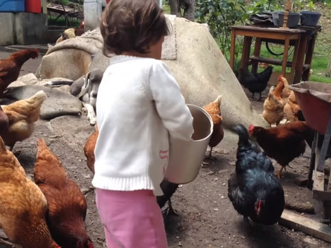 Granja Guacamaya-Chipaque必去景点