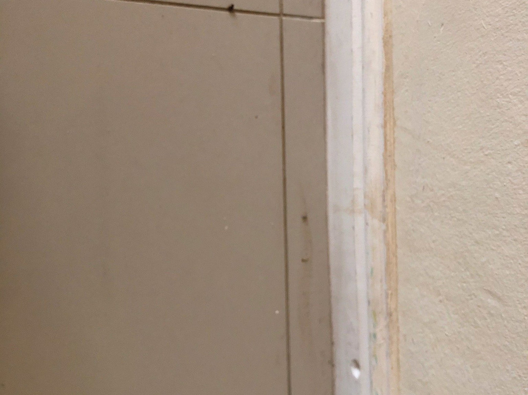 Blue Diamond Lodge主图