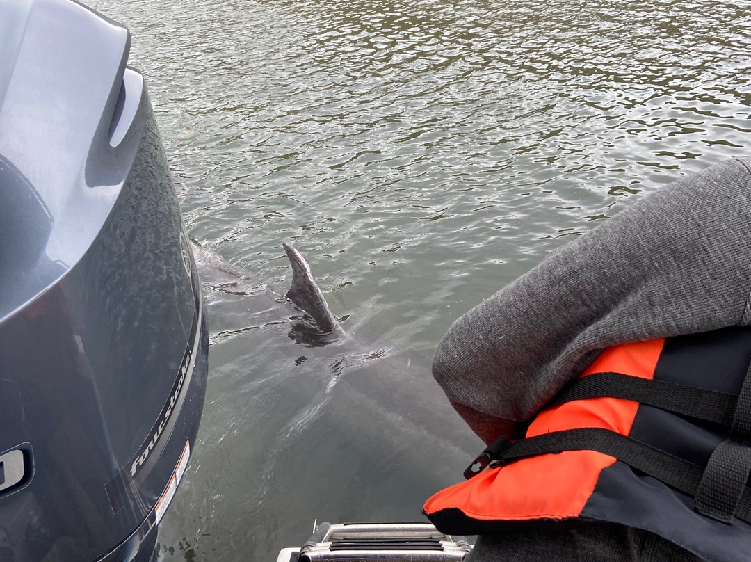 El Pechocho-Topolobampo必去景点