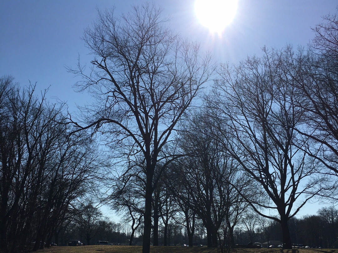 Tamaques Park-Westfield必去景点