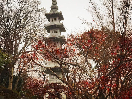 Shomyo-ji Temple-亘理町必去景点