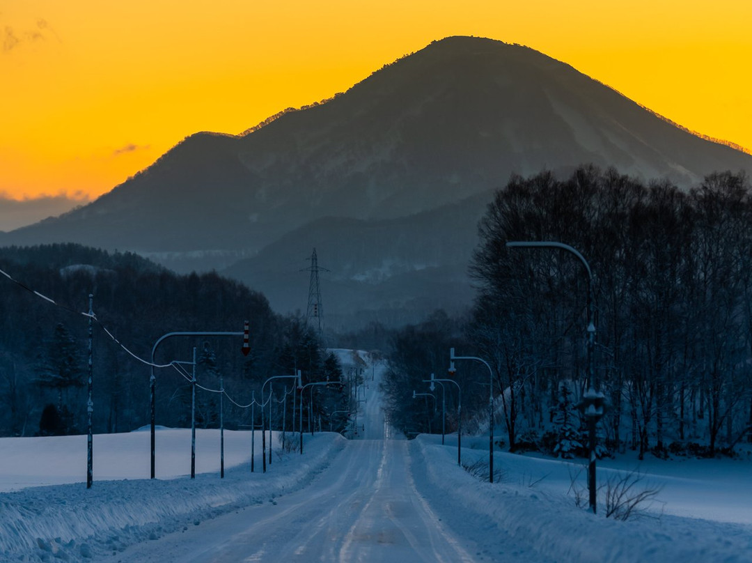Niseko Moiwa Ski Resort景点图片