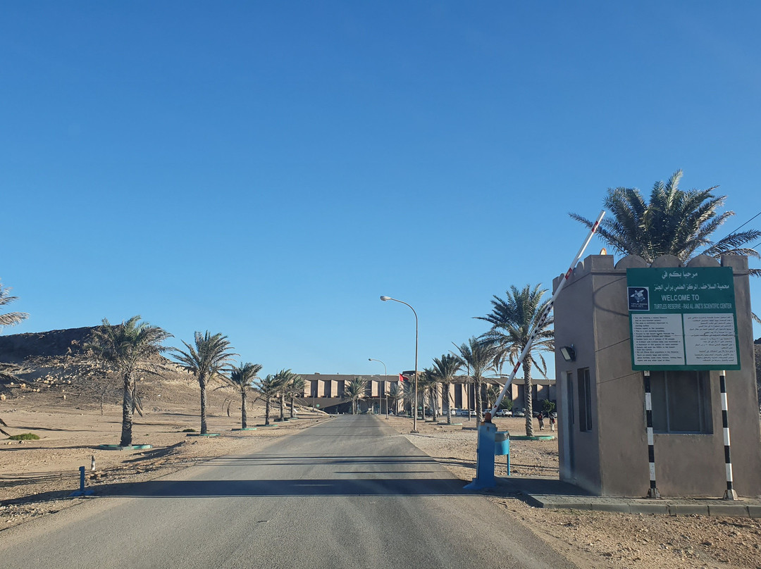 Ras al-Jinz Turtle Reserve主图