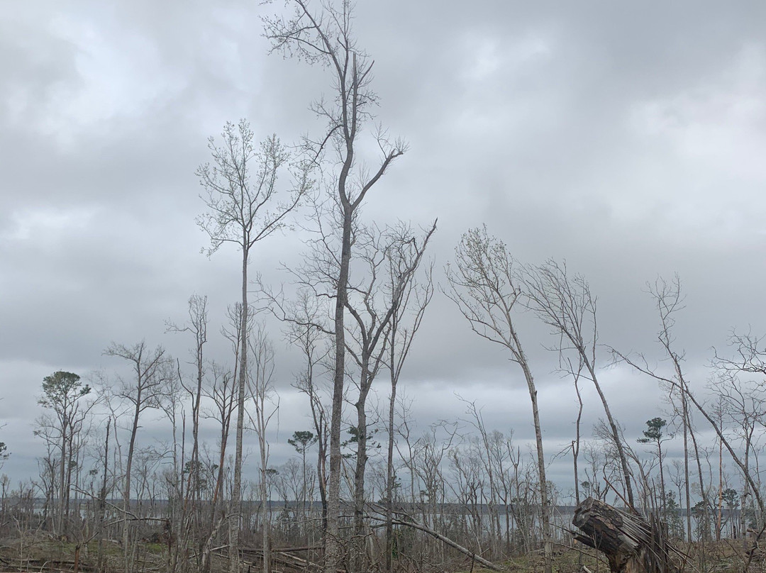 Three Rivers State Park-Sneads必去景点